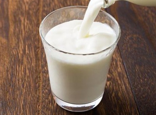 Protein có trong sữa
