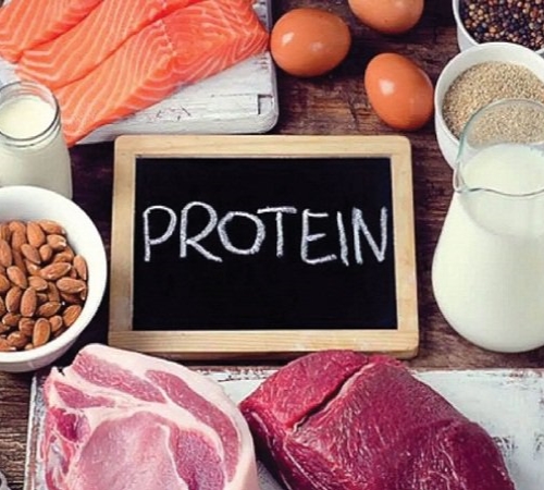 Bổ sung lượng thức ăn chứa protein vừa đủ
