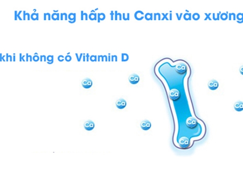 Vitamin D3 giúp thúc đẩy hấp thu canxi, giúp xương chắc khỏe