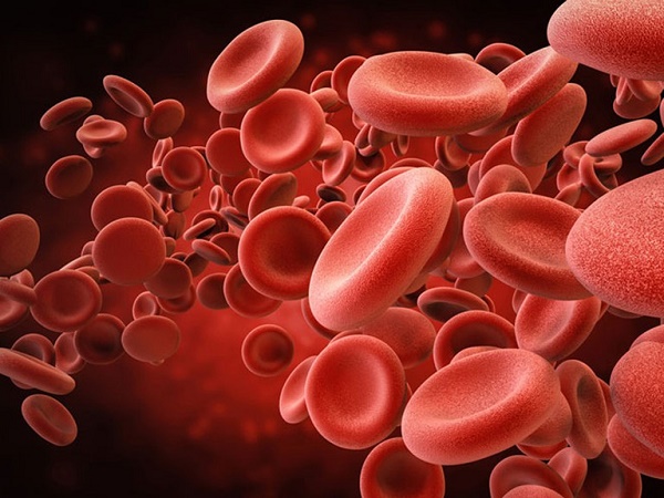 Bổ máu, tăng cường sự sản sinh ra các tế bào máu