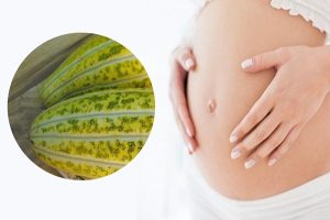 Nếu biết cách ăn đúng thì bà bầu ăn dưa gang rất tốt cho cả mẹ và bé