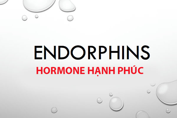 Endorphin là hormon hạnh phúc được tiết ra khi chúng ta tập luyện thể dục thể thao thường xuyên