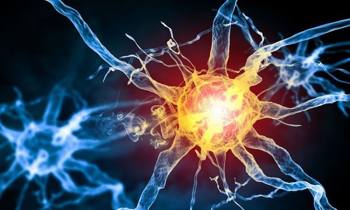 Dòng điện sinh học sẽ kích thích tăng dẫn truyền thần kinh, tăng sản sinh ra tế bào mới và sửa chữa các tế bào tổn thương