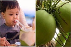 Khi trẻ bị sốt uống nước dừa được không?